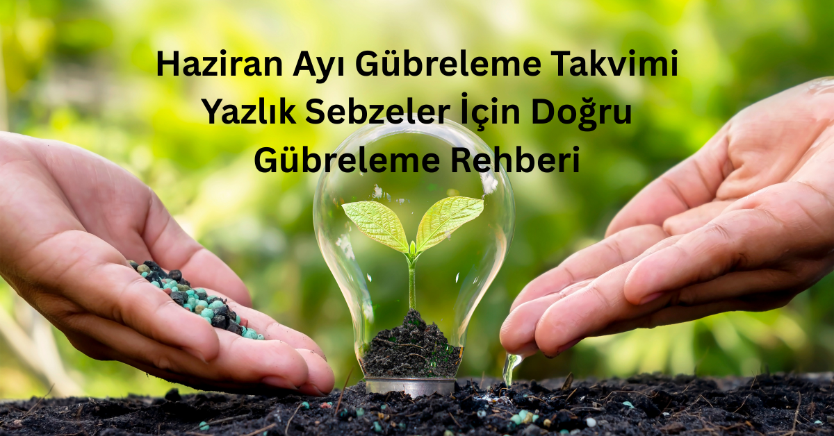Yazlık Sebzeler için Haziran Ayı Gübreleme Takvimi
