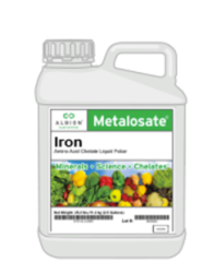 Albion Metalosate Iron