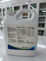 Innovak Global Nutrisorb-L 1 LT