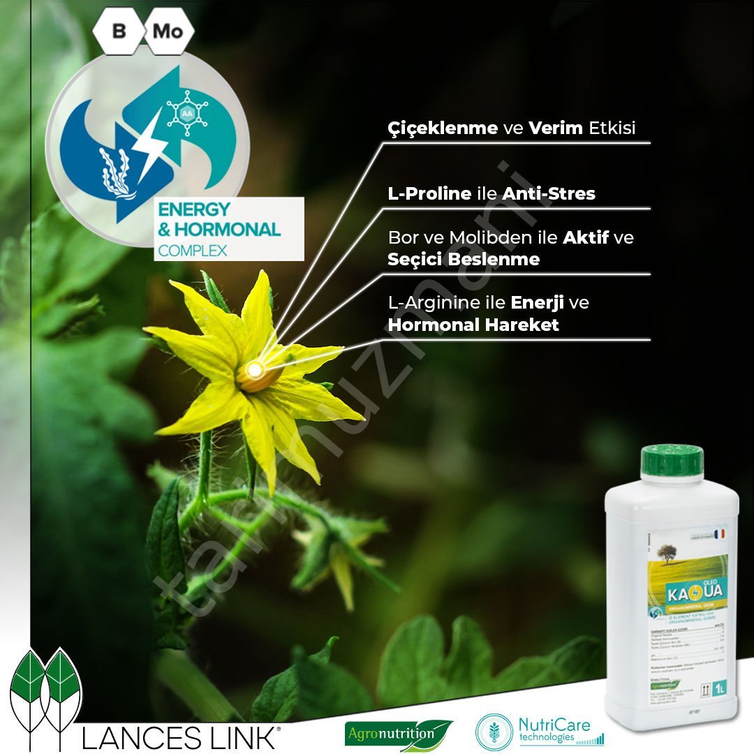 Agronutrition KAOUA OLEO İZELEMENT KATKILI SIVI ORGANİK GÜBRE