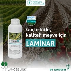 De Sangosse LAMINAR Organik Sıvı Deniz Yosunu Bitki Gelişim Düzenleyici ve Verim Artırıcı