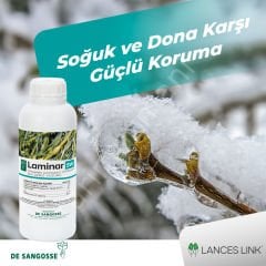 De Sangosse LAMINAR Organik Sıvı Deniz Yosunu Bitki Gelişim Düzenleyici ve Verim Artırıcı