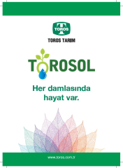 Torosol 15-30-15+TE Gübresi 25 KG | Fosfor Ağırlıklı Damlama Gübresi