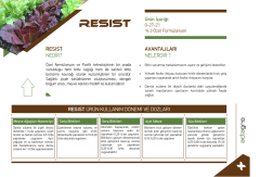 Actagro Resist™ 0-27-21 Fosfor ve Potasyum Takviyesi