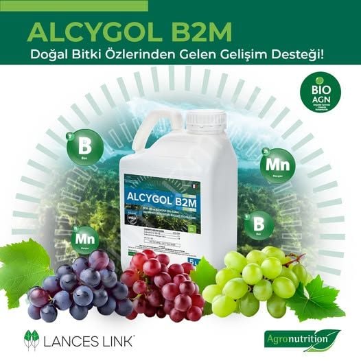 AGRONUTRITION ALYCGOL B2M