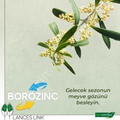 Agronutrition BoroZinc