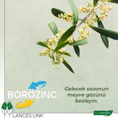 Agronutrition Borozinc Bor (B) ve Çinko (Zn) İçeren Mikro Bitki Besin Maddeleri Karışımı