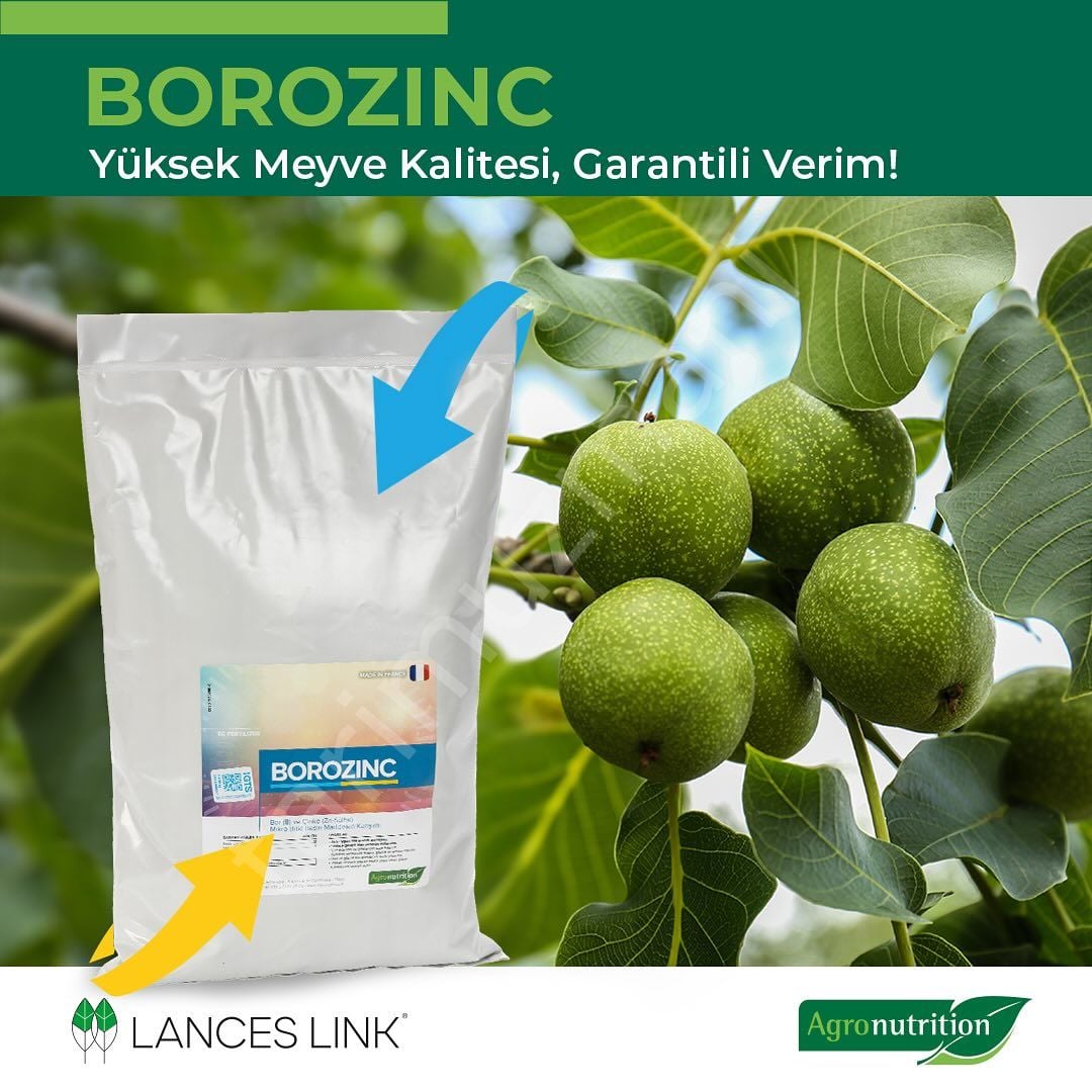 Agronutrition Borozinc Bor (B) ve Çinko (Zn) İçeren Mikro Bitki Besin Maddeleri Karışımı