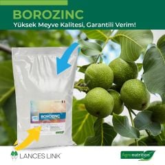 Agronutrition Borozinc Bor (B) ve Çinko (Zn) İçeren Mikro Bitki Besin Maddeleri Karışımı