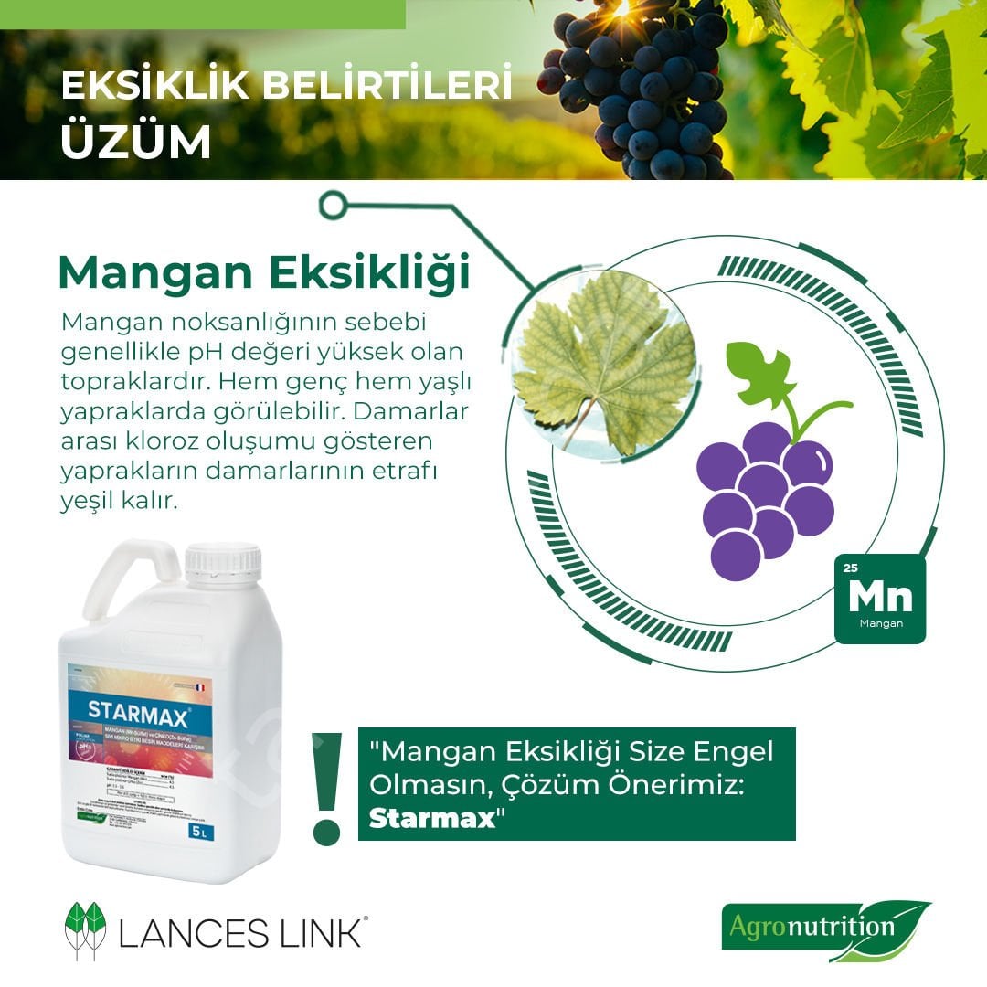 Agronutrition Starmax Mangan (Mn) ve Çinko (Zn)  İçerikli Sıvı Mikro Bitki Besin Gübresi
