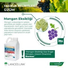 Agronutrition Starmax Mangan (Mn) ve Çinko (Zn)  İçerikli Sıvı Mikro Bitki Besin Gübresi