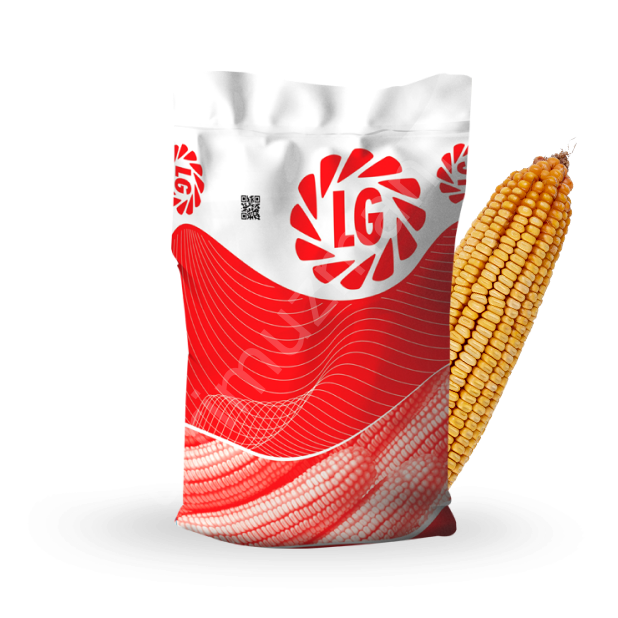 LG Seeds Truva Hibrit Mısır Tohumu – Silajlık (110 Günlük)