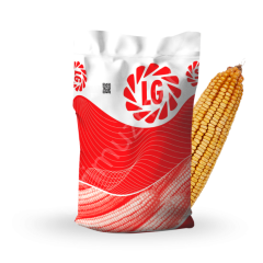 LG Seeds Truva Hibrit Mısır Tohumu – Silajlık (110 Günlük)