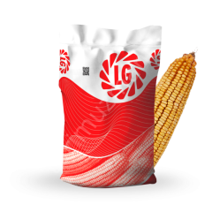 LG Seeds Truva Hibrit Mısır Tohumu – Silajlık (110 Günlük)