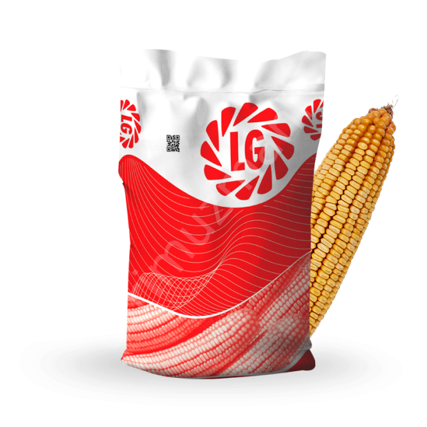 LG Seeds 30.597 Hibrit Mısır Tohumu – Silajlık (85 Günlük Erkenci)