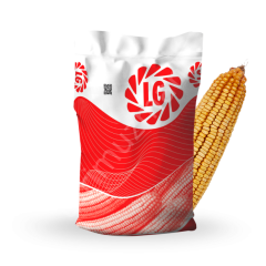 LG Seeds 30.597 Hibrit Mısır Tohumu – Silajlık (85 Günlük Erkenci)