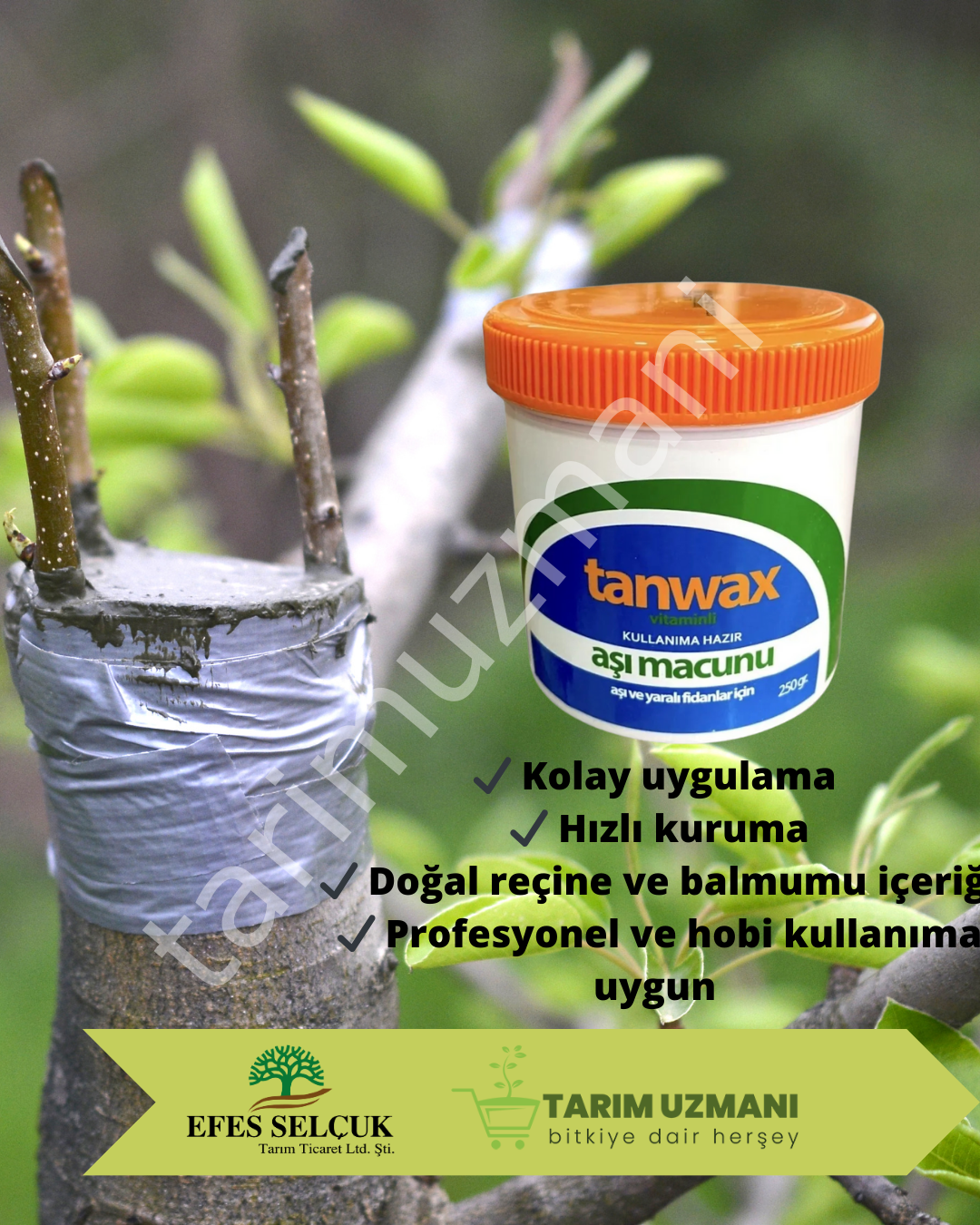 Tan Wax Aşı Macunu | Ağaç Aşı ve Budama Yaraları İçin Koruyucu Macun 500gr