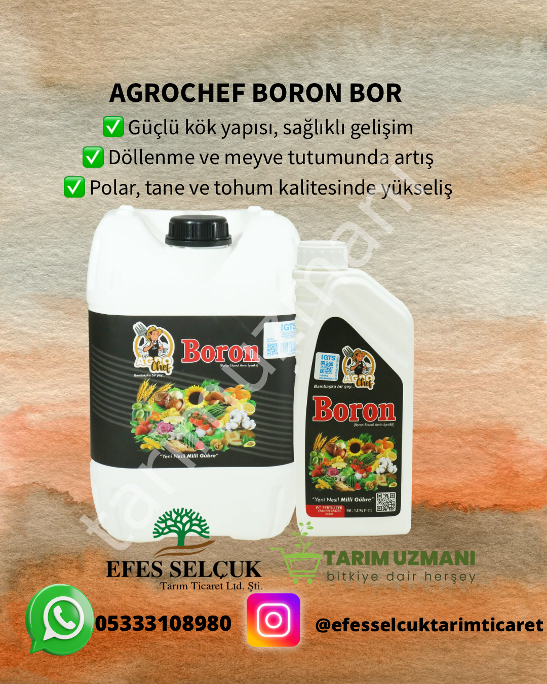 AGROCHEF BORON BOR