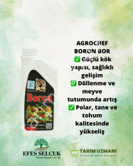 AGROCHEF BORON BOR
