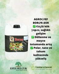 AGROCHEF BORON BOR