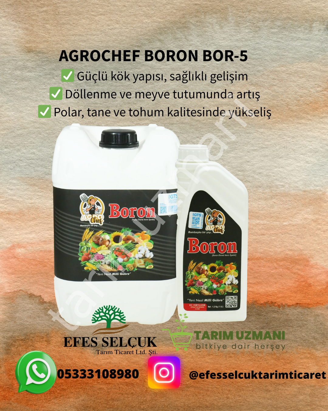 AGROCHEF BORON BOR-5