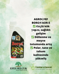 AGROCHEF BORON BOR 1 LT