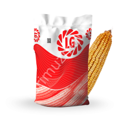 LG 30.709 Silajlık Hibrit Mısır Tohumu (FAO 700+) – Yüksek Silaj Verimi