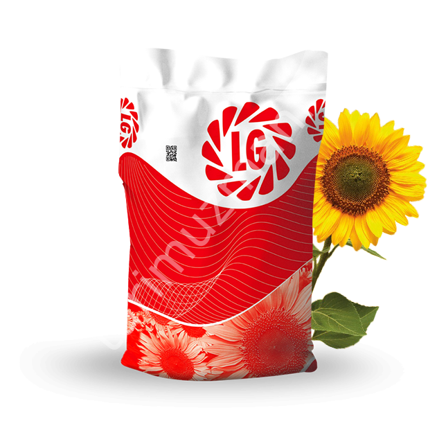 LG 50.550 CLP Ayçiçeği Tohumu (Clearfield Plus) – Yüksek Verim & Yağ Oranı