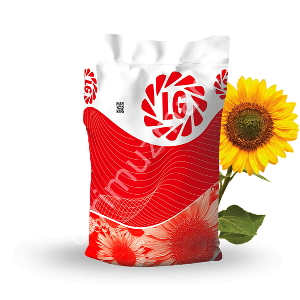 LG 50.550 CLP Ayçiçeği Tohumu (Clearfield Plus) – Yüksek Verim & Yağ Oranı