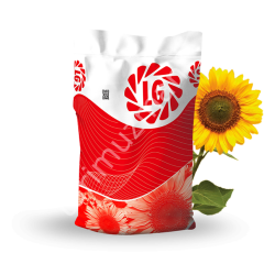 LG 50.550 CLP Ayçiçeği Tohumu (Clearfield Plus) – Yüksek Verim & Yağ Oranı