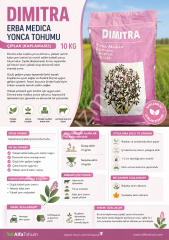 AlfaTohum Dimitra Erba Medica Yonca Tohumu (Çıplak / Kaplamasız) 10 Kg